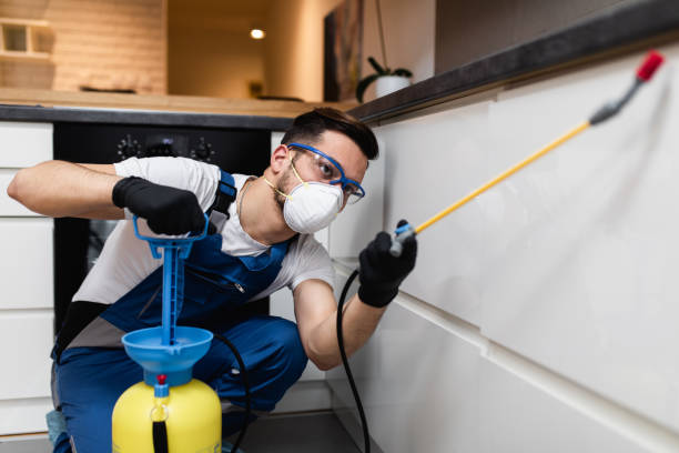 Reliable Gordonsville, VA Pest Control Solutions