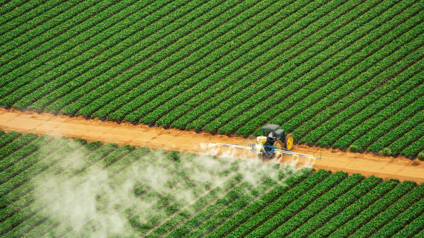 Pest Prevention Services in Gordonsville, VA